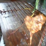 shirvani-Santoor-bild
